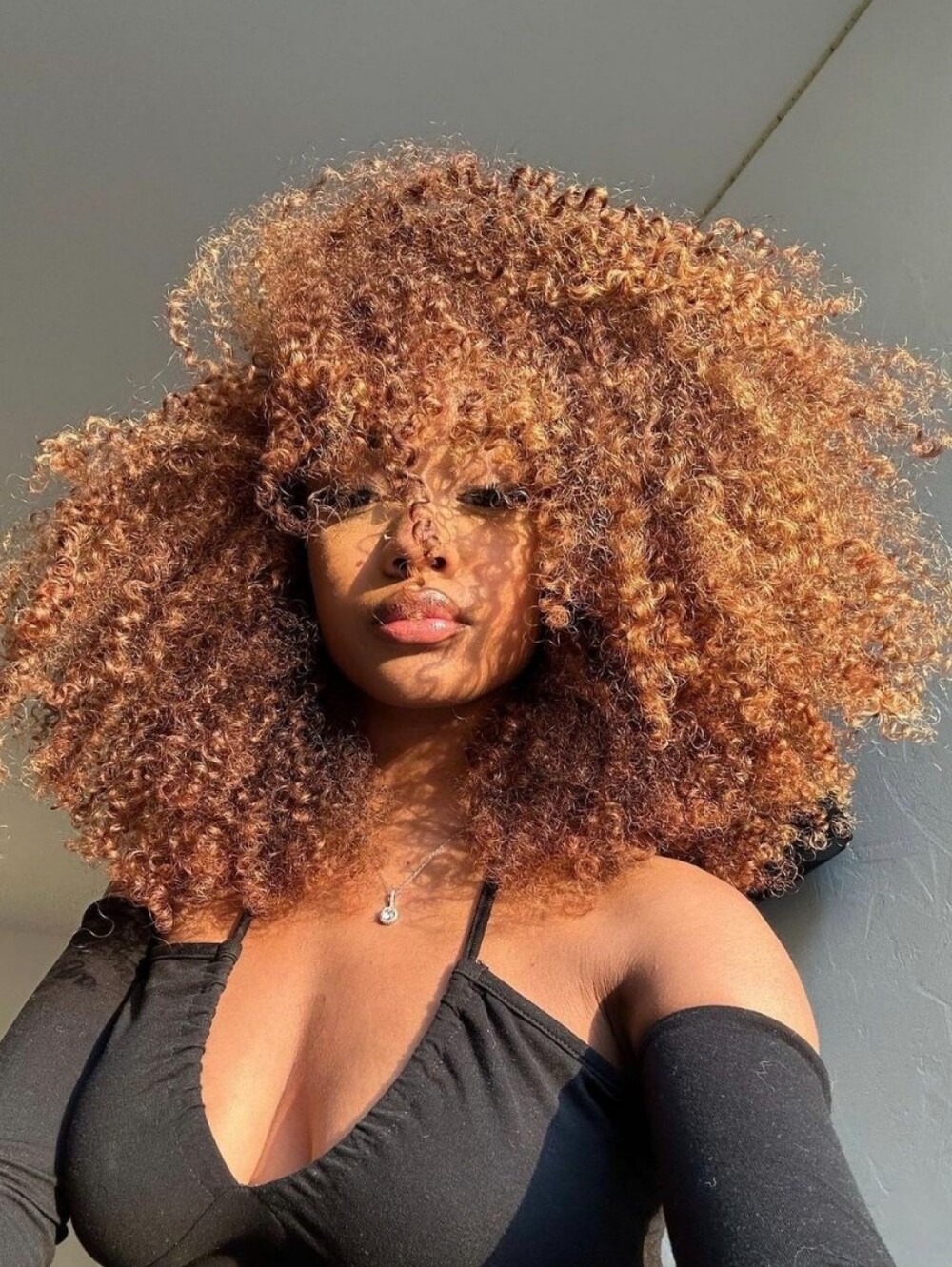 Premium Curly Afro Wig in Copper Brown - Women Hair